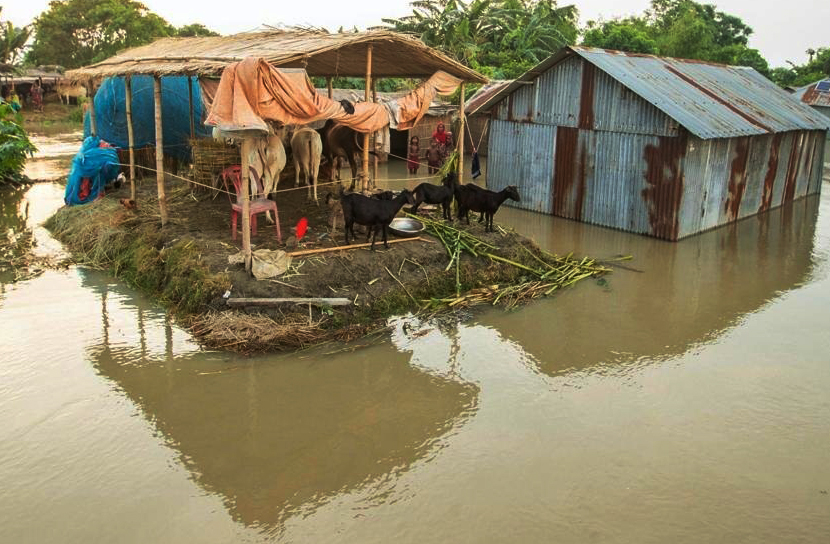দিশেহারা বন্যার্তদের নীরব আর্তনাদ